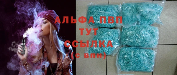 гашик Алексеевка