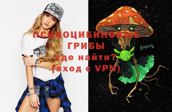твердый Алексин