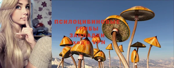 гашик Алексеевка
