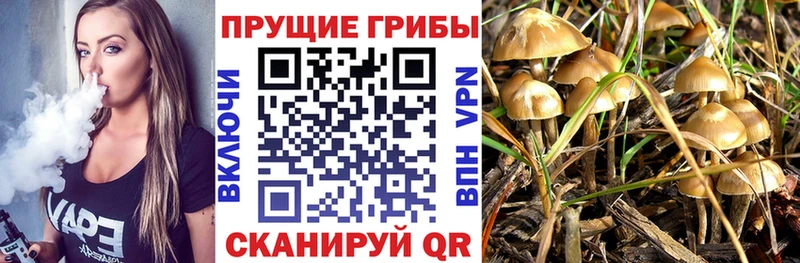 Псилоцибиновые грибы Magic Shrooms  как найти закладки  Пустошка 