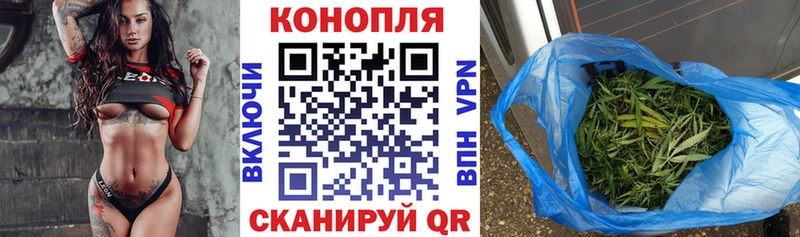 площадка клад  дарнет шоп  Пустошка  Бошки Шишки сатива 
